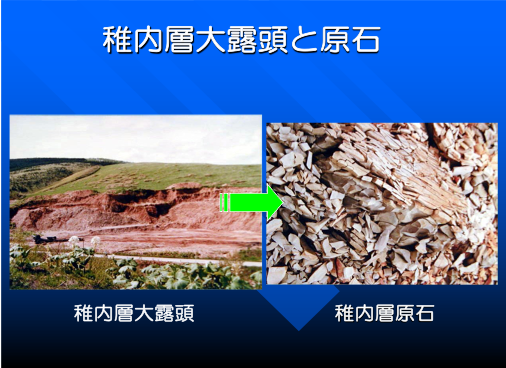 稚内層大露頭と原石